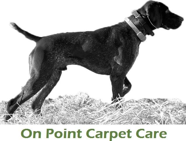 On Point Carpet Care