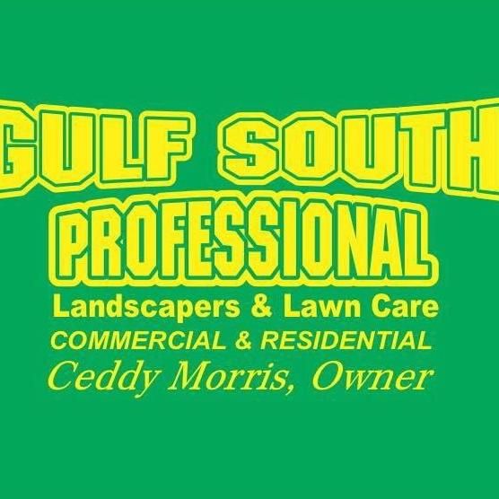 Gulf South Professional L.L.C.