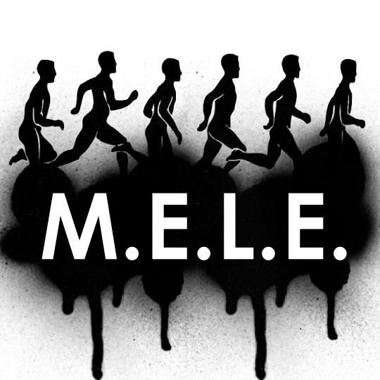 MELE Fitness Solutions, LLC