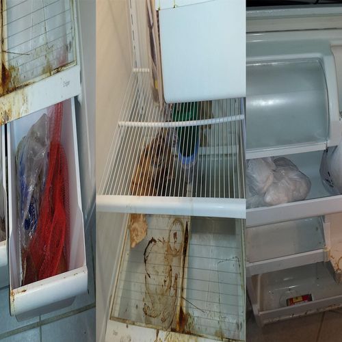 Refrigerator before