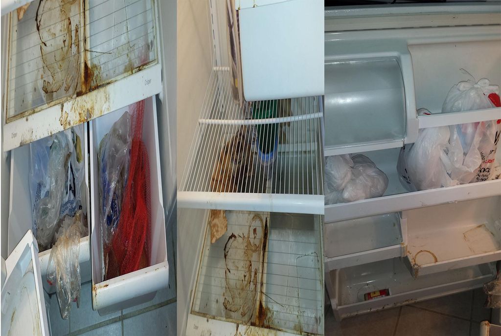 Refrigerator before