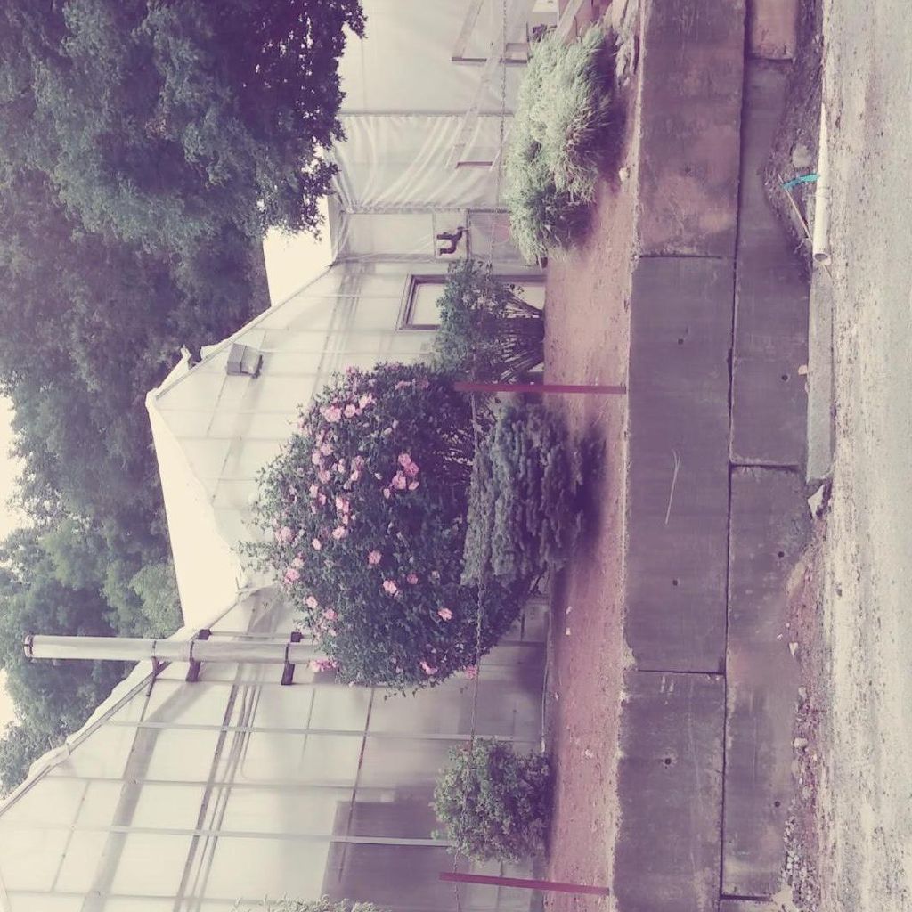 The Gardener  landscaping