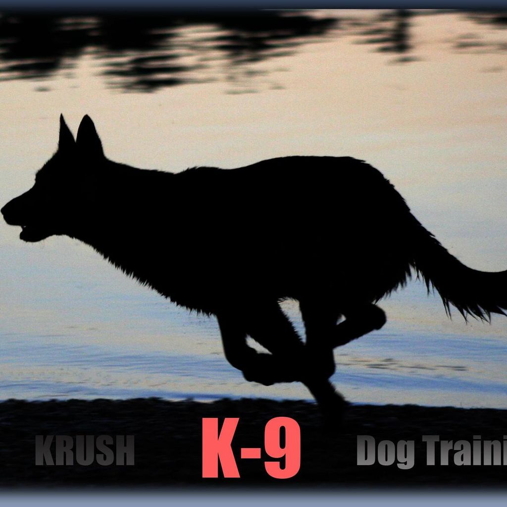Krushk9 Dog Training Services
