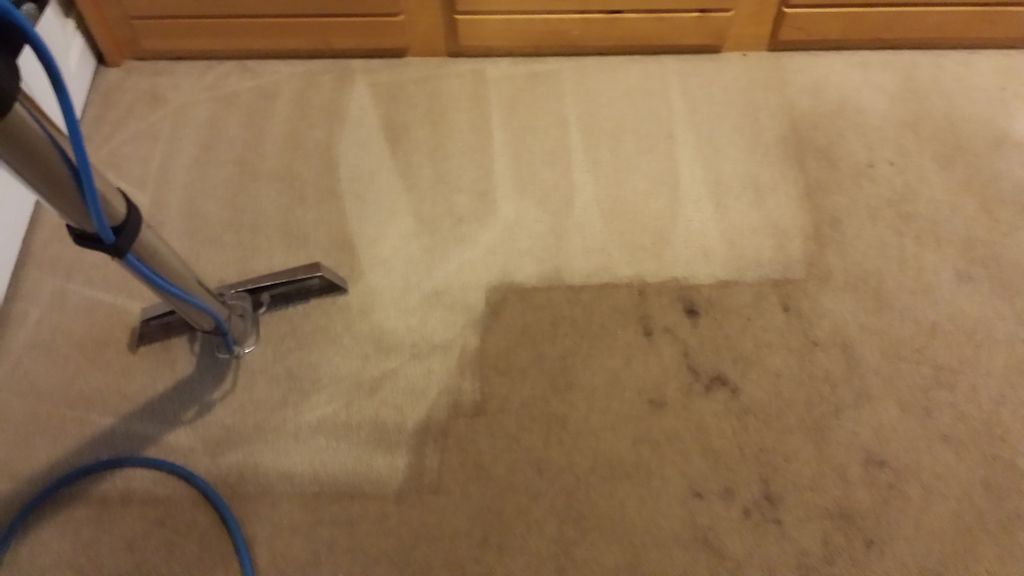 TM Carpet and Air Duct Cleaning