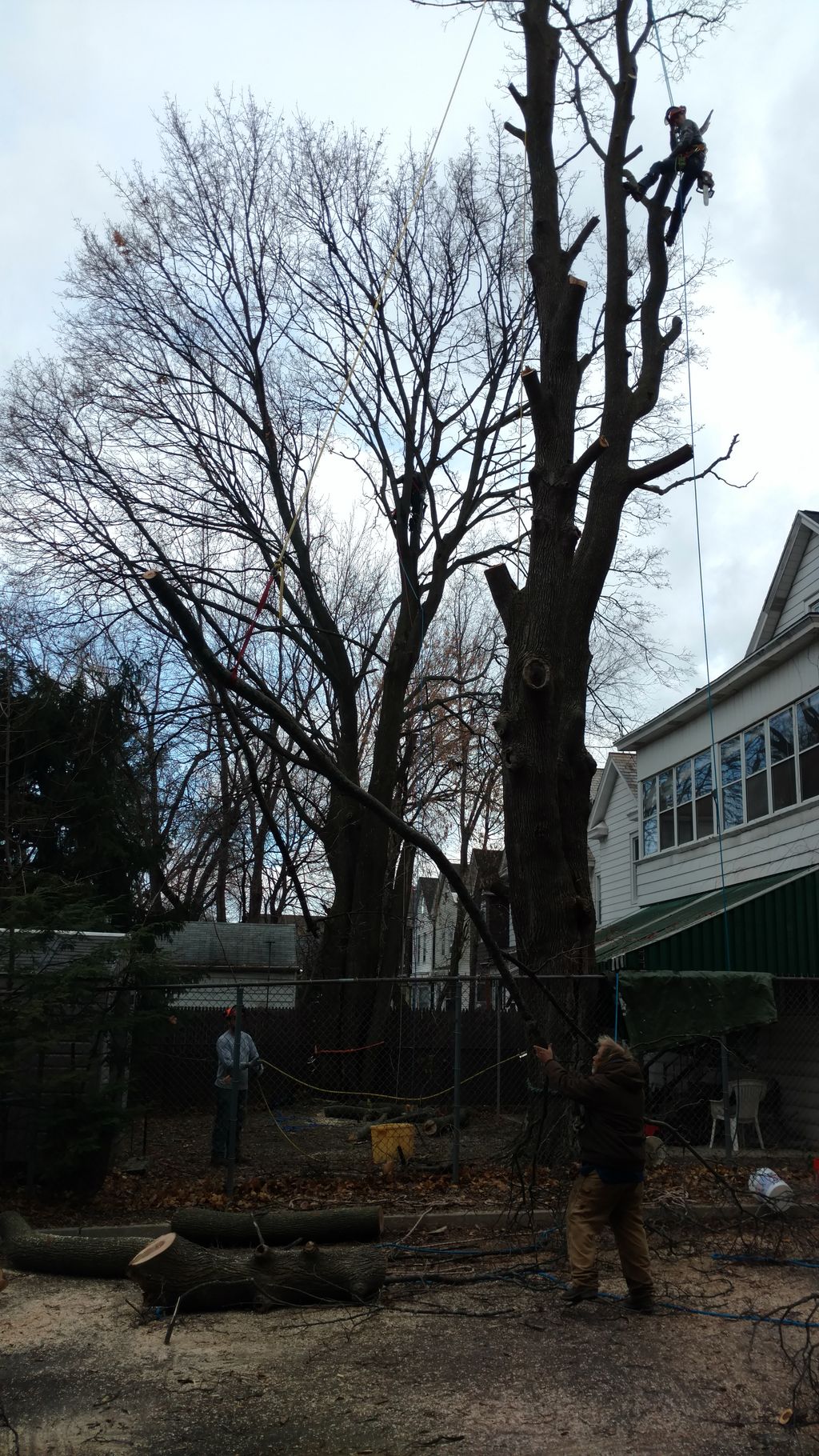 Do It All General Contracting and Tree Care