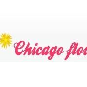 Chicago Flowers