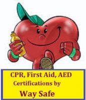 Way Safe 
CPR, First Aid, AED, BBP, More...