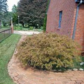 After Power Wash Treatment