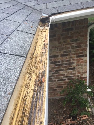 Gutter Cleaning