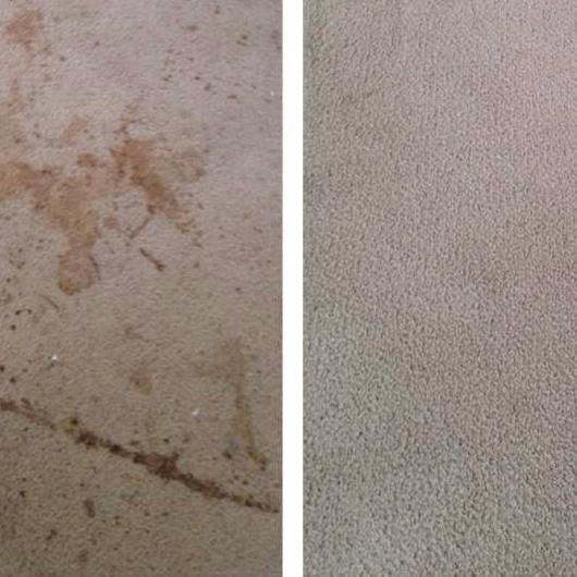 Eatmon's Carpet Cleaning and Restoration