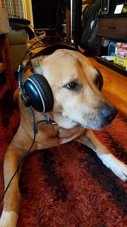 My assistant checking a mix for me
