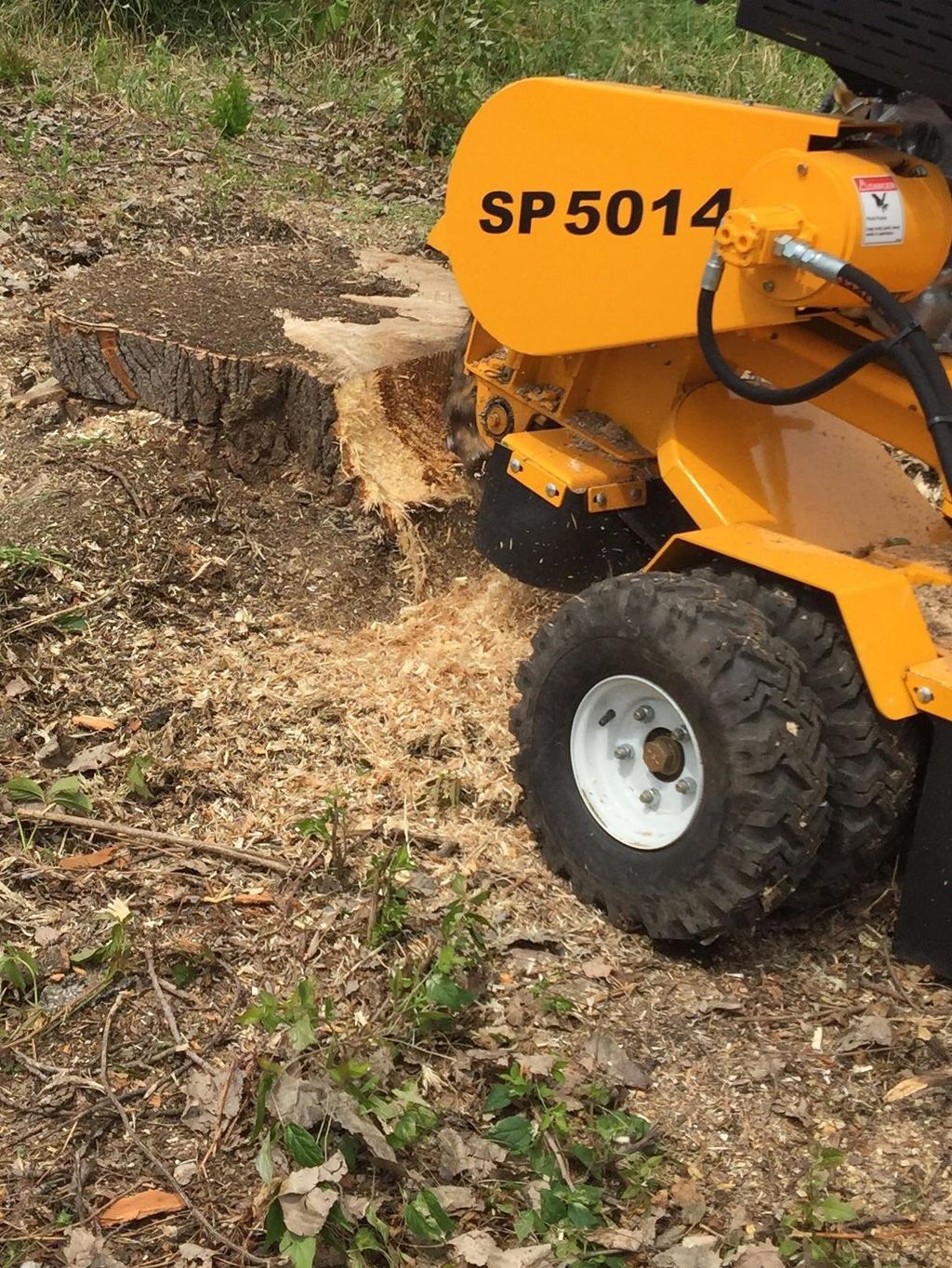 Stump grinding 