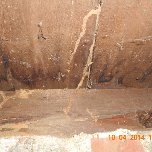 Termites in the sub-flooring.