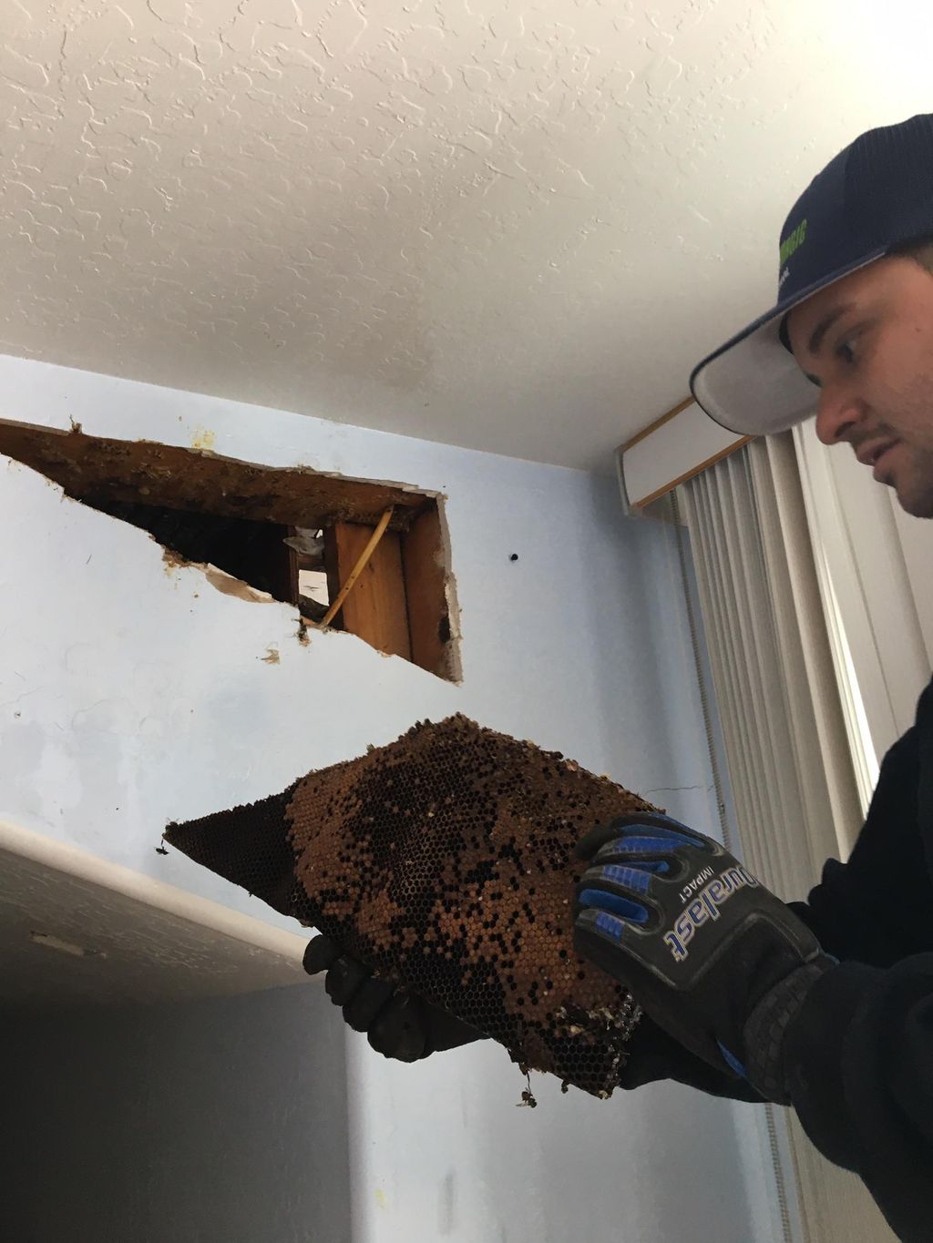 These bees made they way into one of our customers