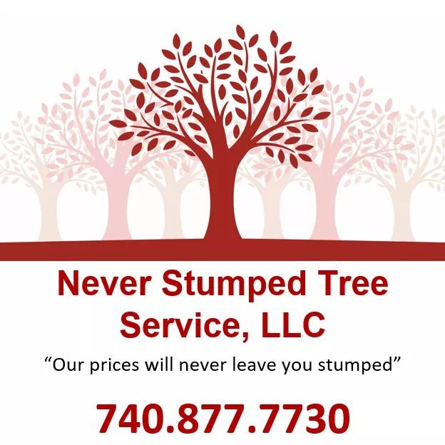 Never Stumped Tree Service, LLC