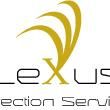 Lexus Protection Services