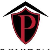Providence Team Realty LLC