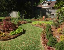 Edible Landscaping Food Forest
