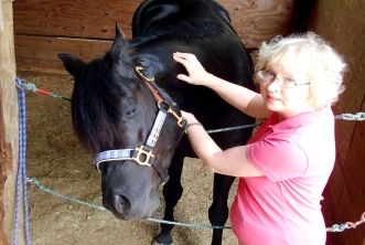 Horses can under perform or be resistant to traini