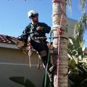 It's More Than Just Trees