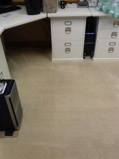 Carpet Cleaning - Spotted area after