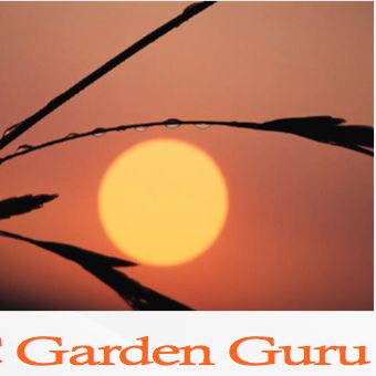OC Garden Guru