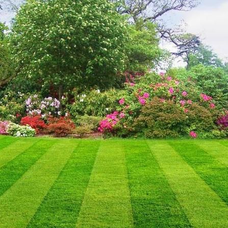 Florida Total Lawn & Care