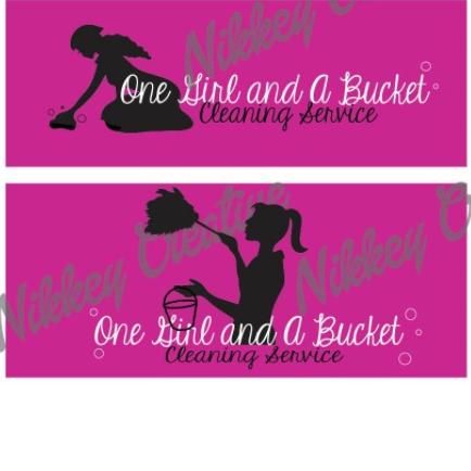 One Girl and Bucket Cleaning Service