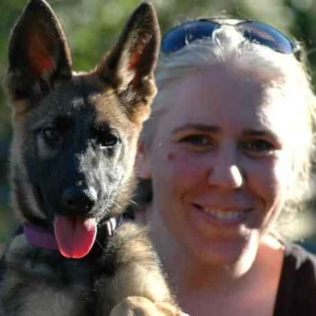 The 10 Best Dog Trainers In Spokane Wa With Free Estimates