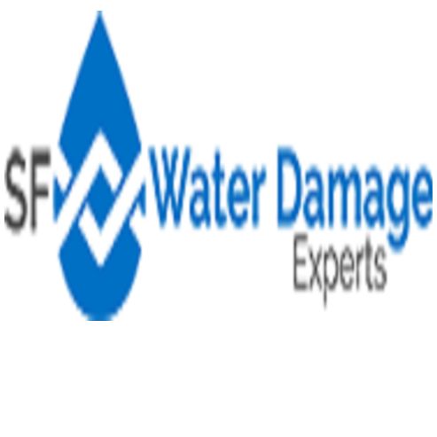 SF Water Damage Experts