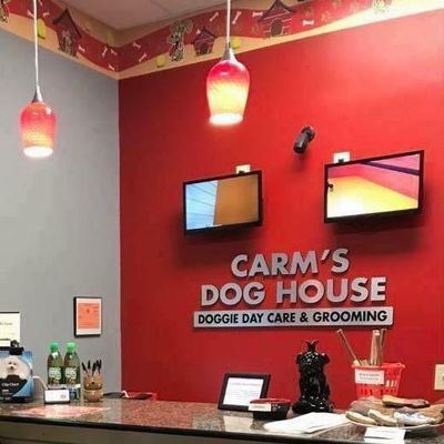 The 10 Best Mobile Dog Groomers In Syracuse Ny 2020