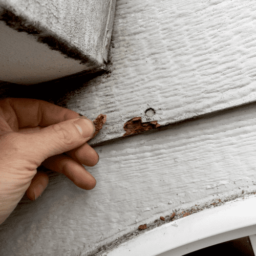 This engineered wood siding is moisture damaged an