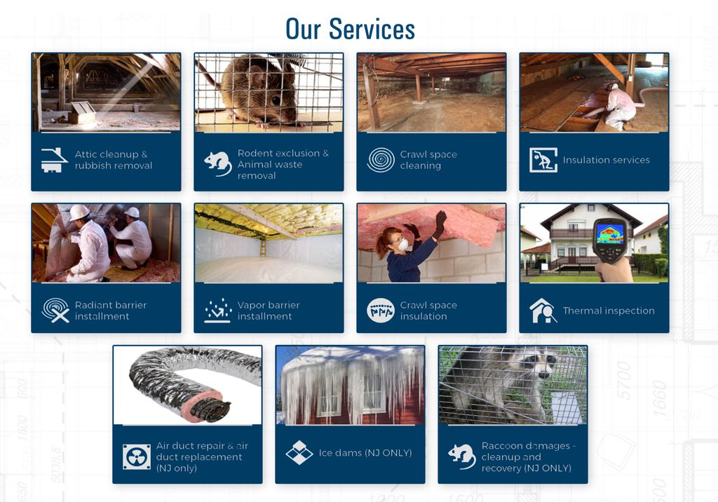 Our services , We can help with your attic and cra