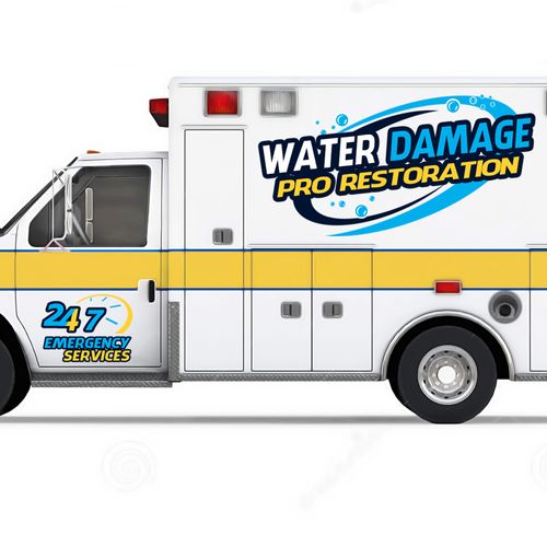 Graphic Design Mockup for Water Damage Pro Restora