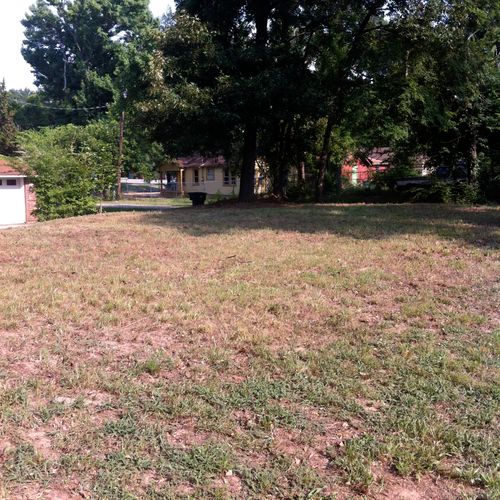 Large unkept lot cleaned up and maintained for Ms.