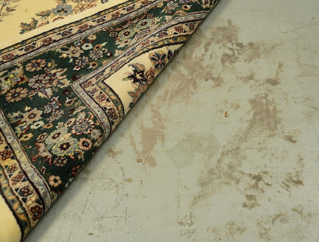 Our Extraction Process removes dirt and dust built