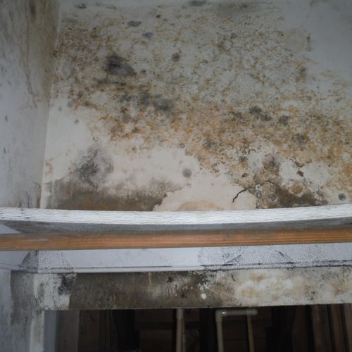 Moisture in a home can cause tremendous damage