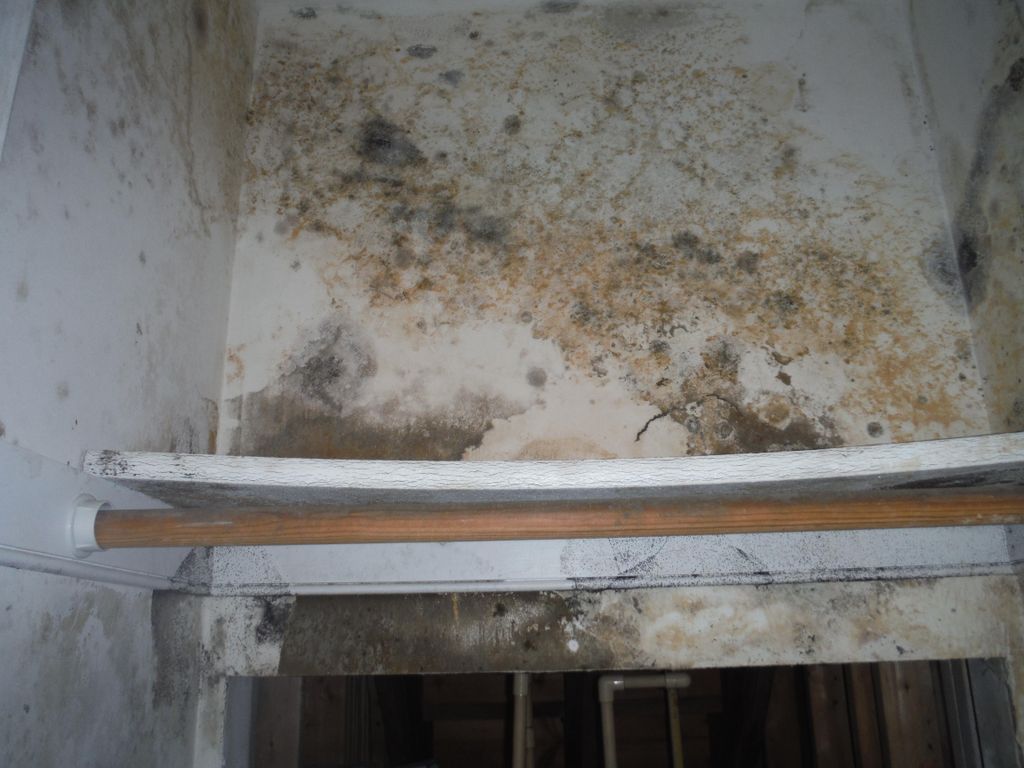 Moisture in a home can cause tremendous damage