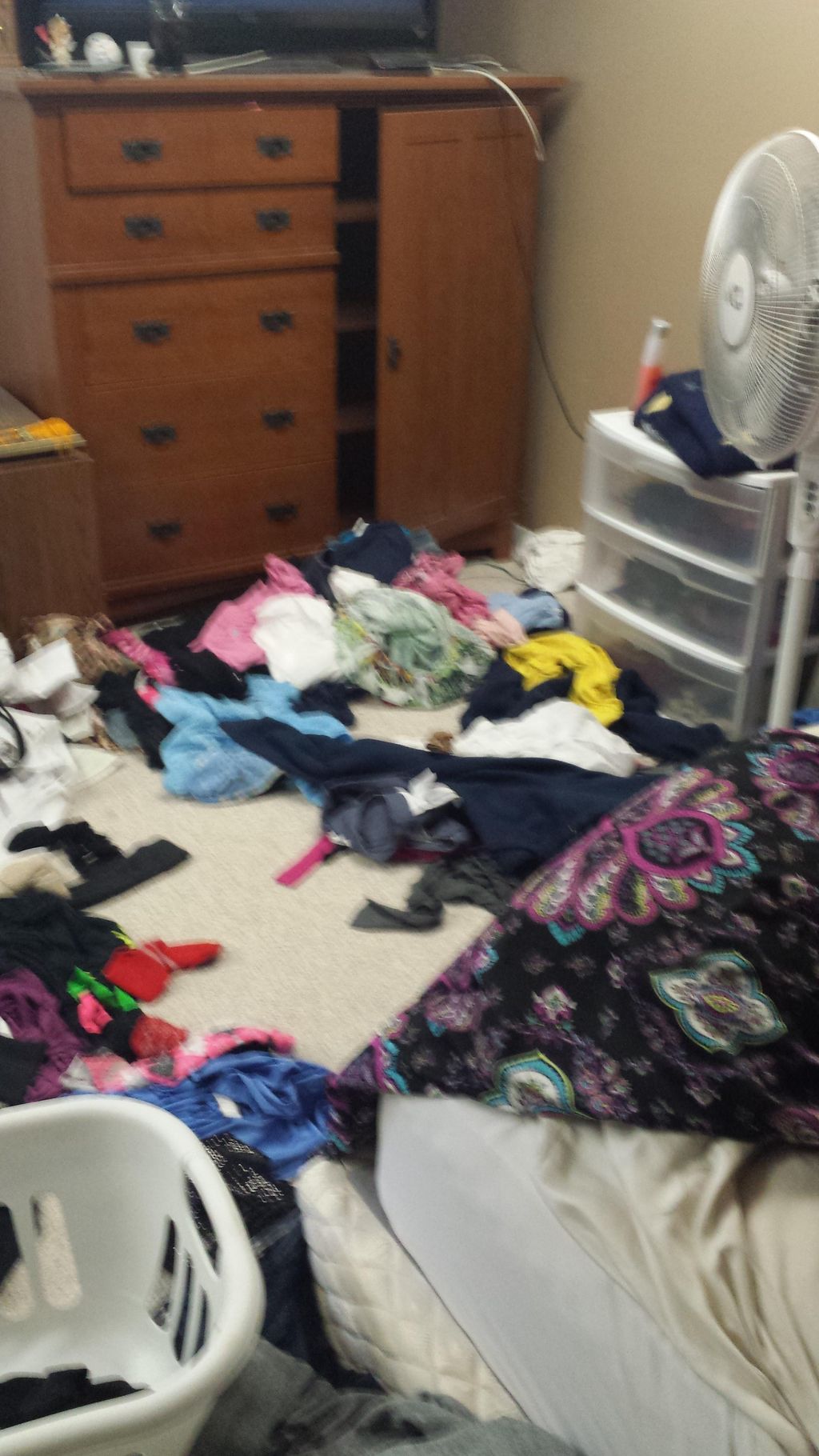 Do you have a catch all room like this?
