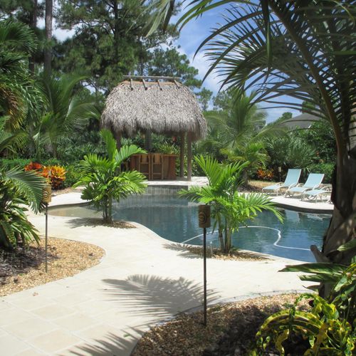 Tropical landscape & design for a new swimming poo