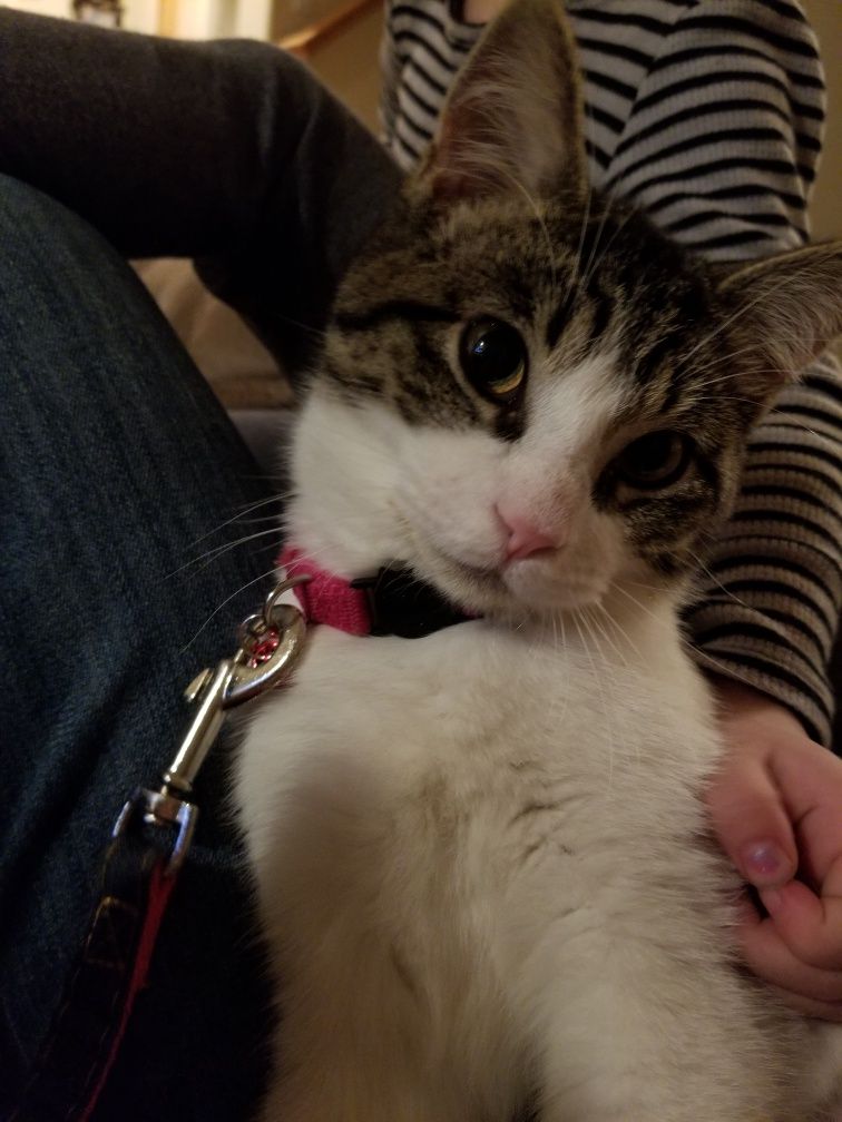 5 month old Noel