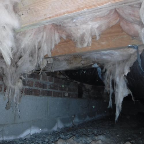 Example damaged insulation in a crawlspace. Damage
