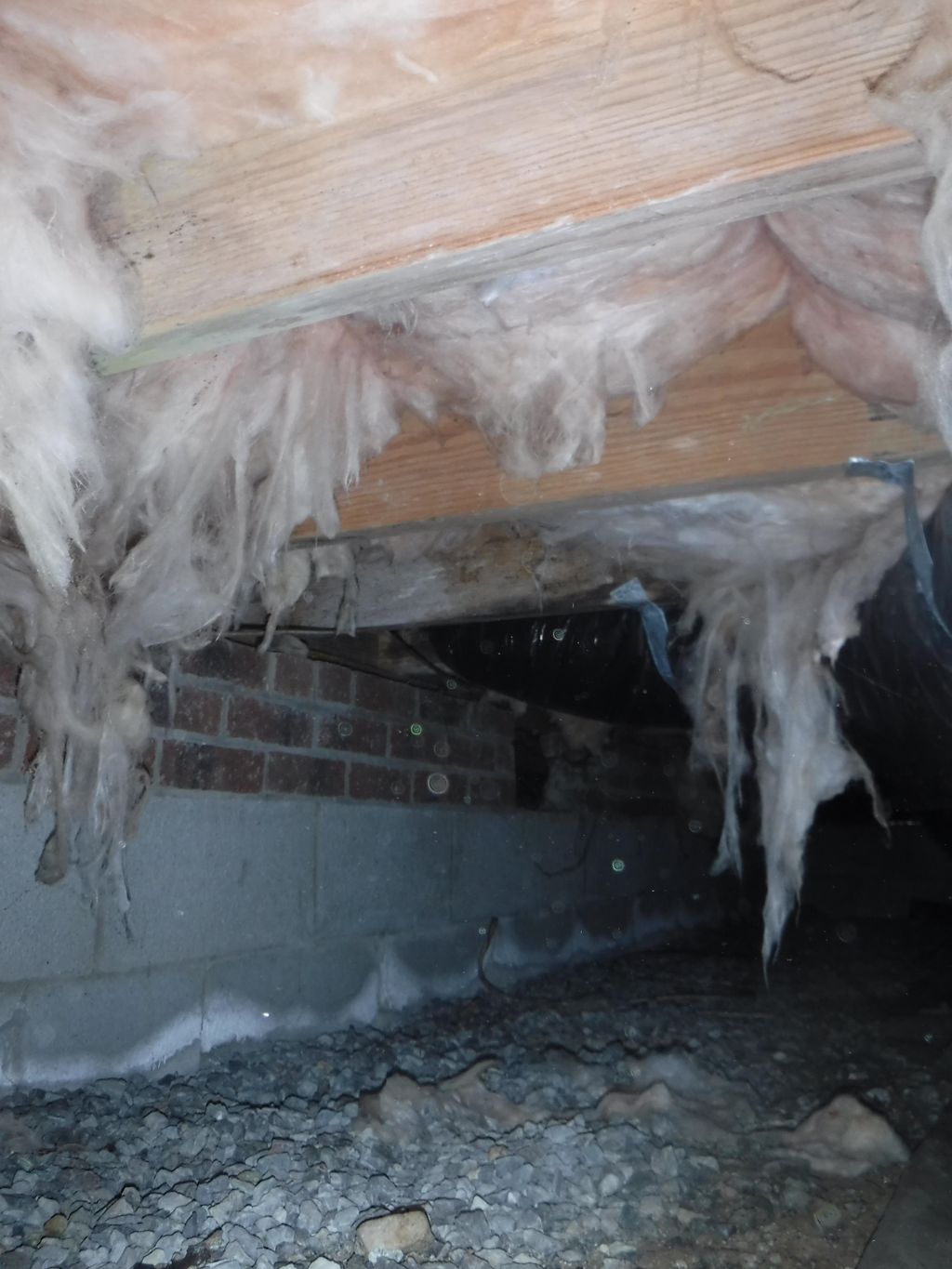 Example damaged insulation in a crawlspace. Damage