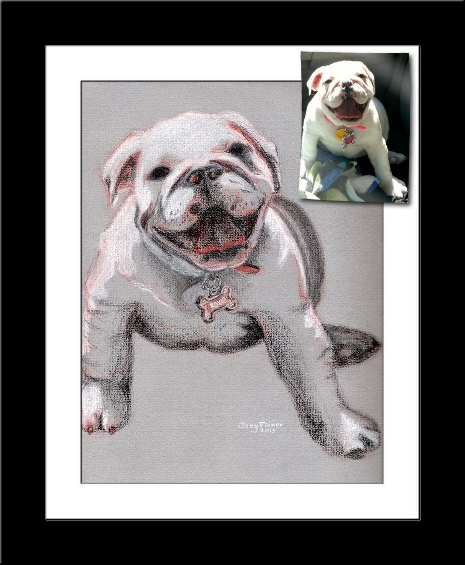Bulldog pet portrait done in Conté crayon.