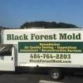 Black Forest  Mold