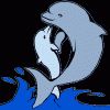 Dolphin Painting LLC