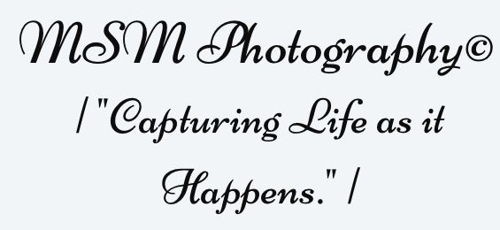MSM Photography