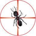 Frontier Pest and Termite Services