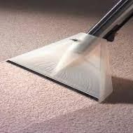 Plush Carpet Cleaning