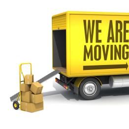 BLUE PALM MOVERS TO GO